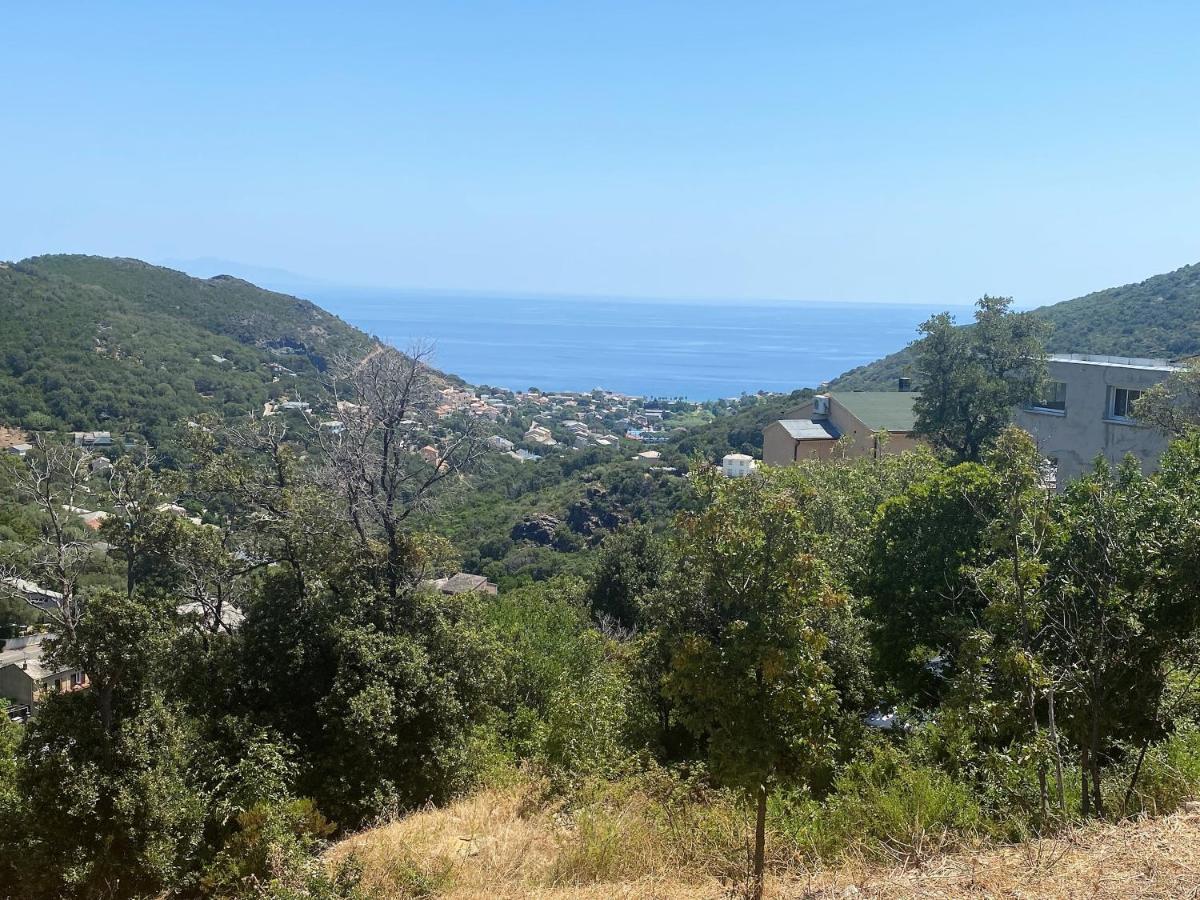 U Cavallu - Luxe Entre Mer Et Montagne Santa-Maria-di-Lota Εξωτερικό φωτογραφία