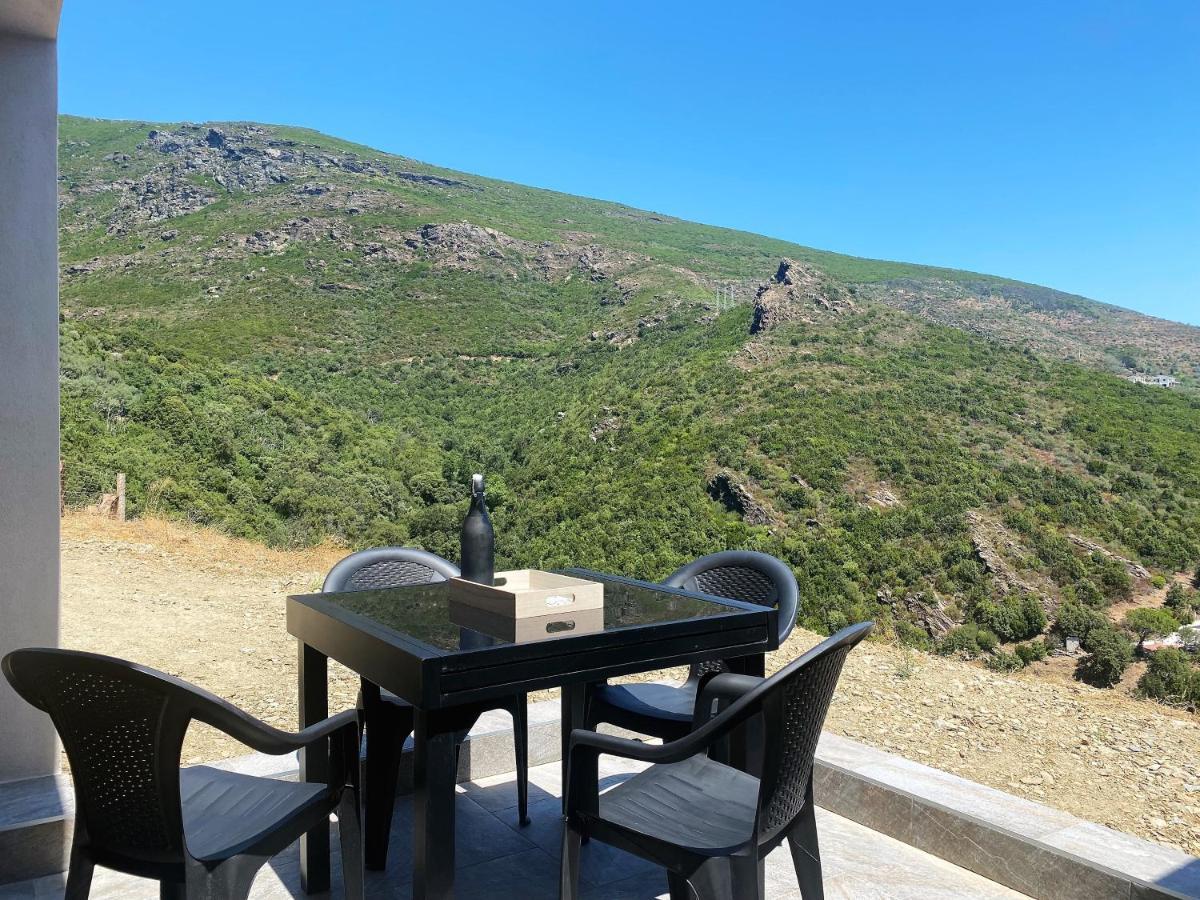 U Cavallu - Luxe Entre Mer Et Montagne Santa-Maria-di-Lota Εξωτερικό φωτογραφία